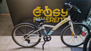 Bicicleta niño rueda 24"