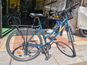 City bike Riverside 120